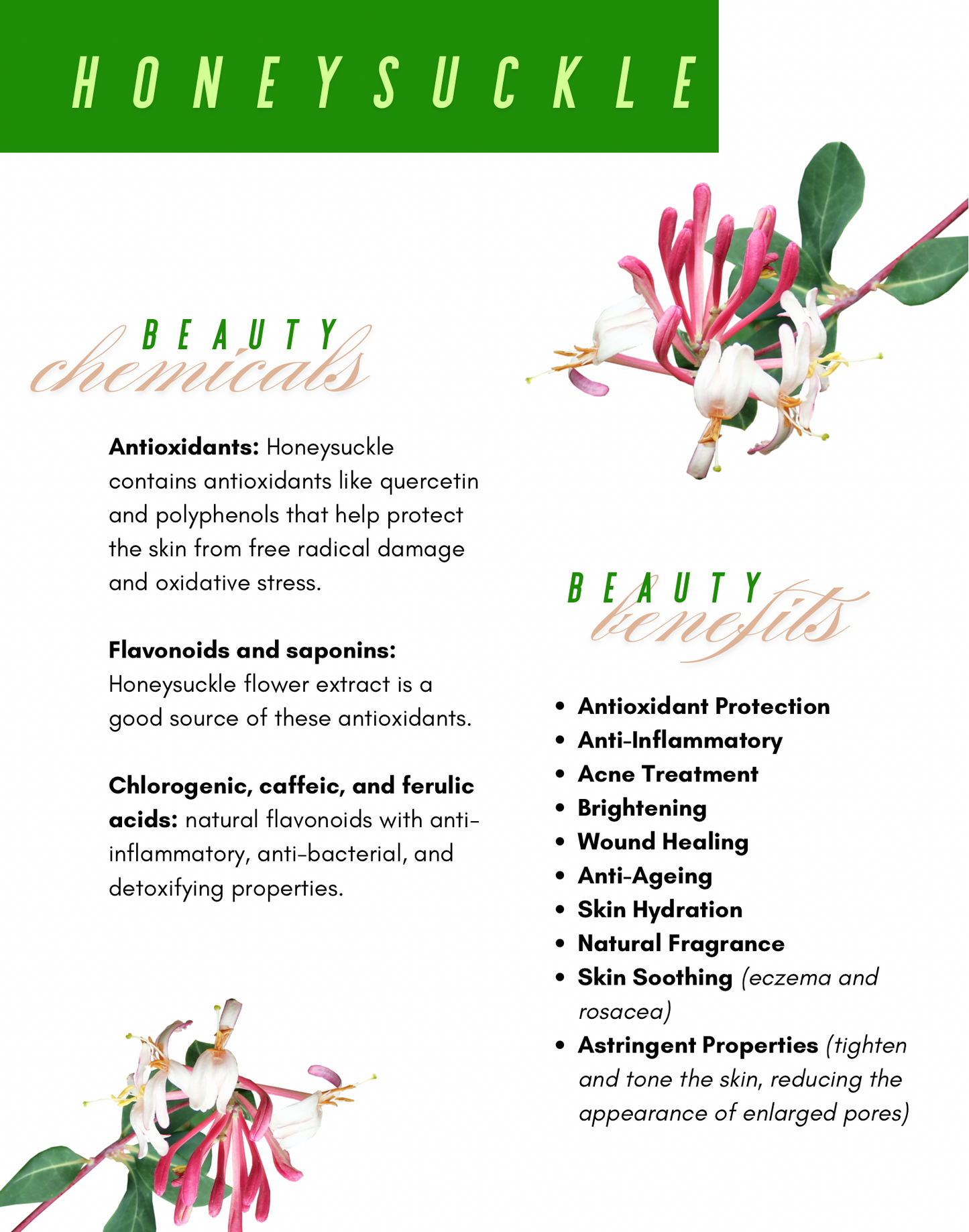 Flower Water Face Toner