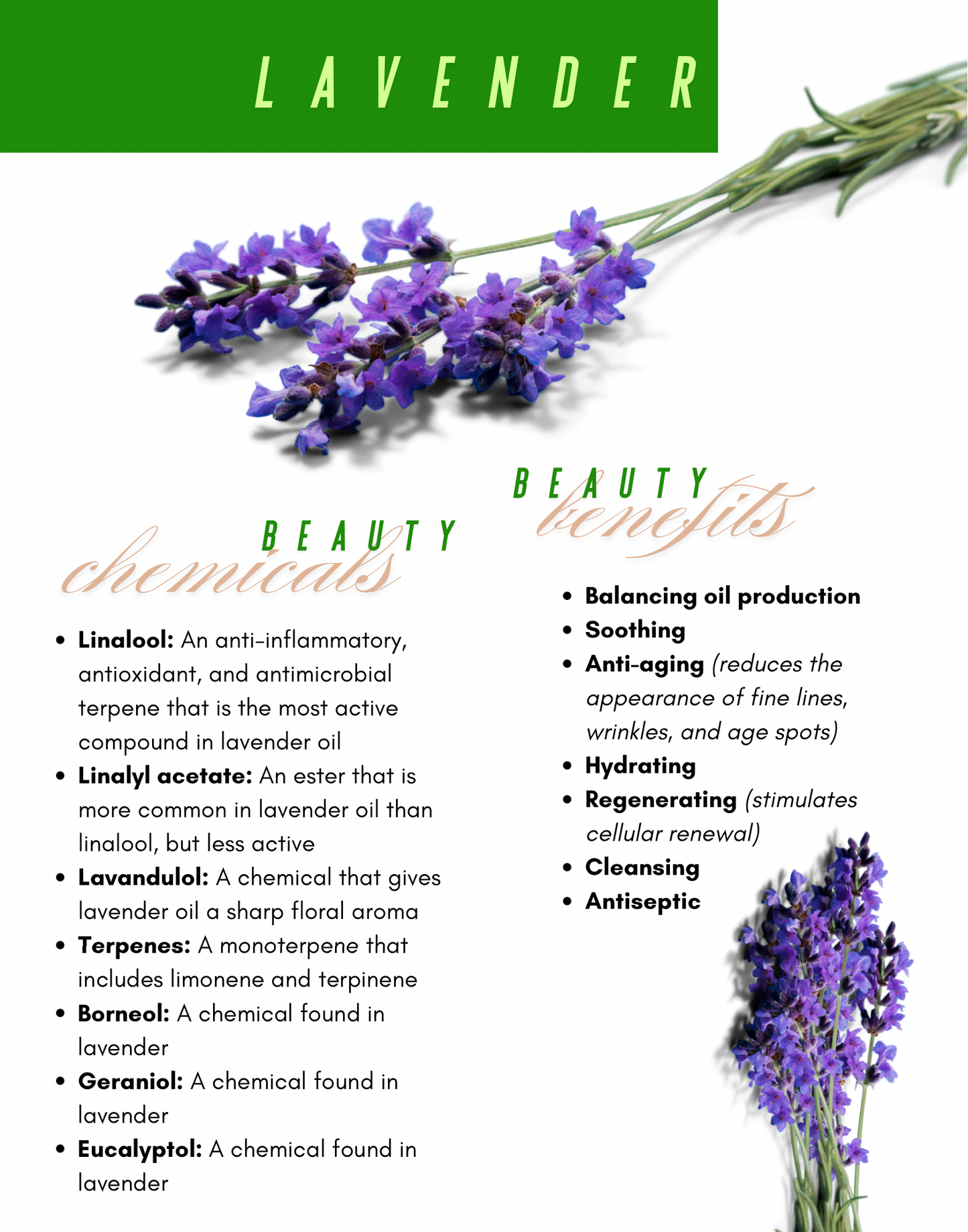 Flower Water Face Toner