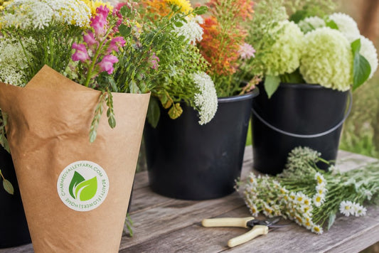 Benefits of Local Organic Flower Buckets