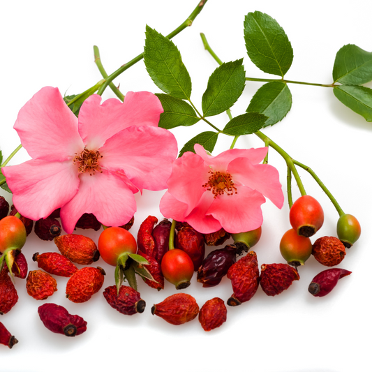 Rosehips for antiaging botanical skin products