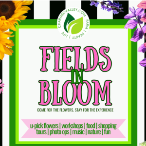 Flowers In Bloom 2026 Charmed Valley Farm