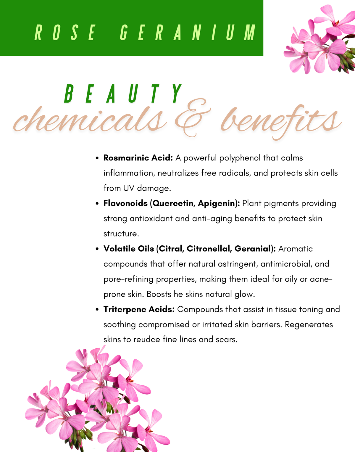 Flower Oil Face Serum Charmed Valley Farm